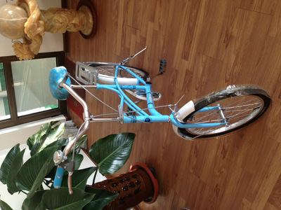 【天津市濮琪自行車(chē)】?jī)r(jià)格,廠家,圖片,自行車(chē),天津市濮琪自行車(chē)-