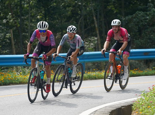 自行車(chē) 環(huán)鄱陽(yáng)湖國(guó)際自行車(chē)大賽進(jìn)行第五賽段的比賽