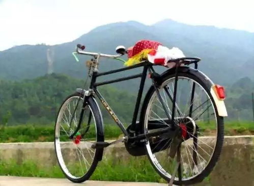 絳縣誰(shuí)家有這種自行車(chē) 兩輛就能換一套房 暴漲500倍