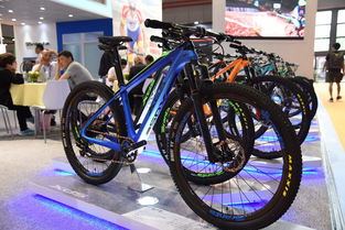 2017上海展觀察 自行車(chē)產(chǎn)品現(xiàn)狀及未來(lái)走向